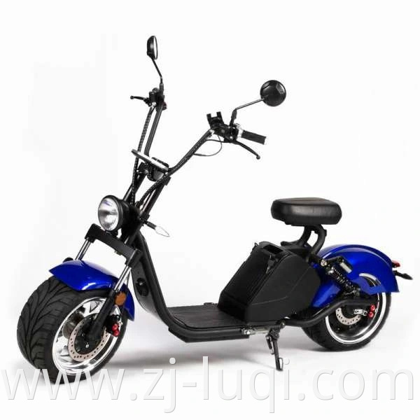 EEC/Coc Certificate Single Seat Ultra Strong Frame Portable Electric Citycoco Motorcycle with Competitive Price